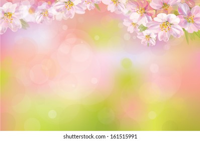 Vector of spring background.