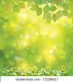 Vector spring  background.