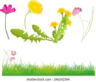 Vector spring background