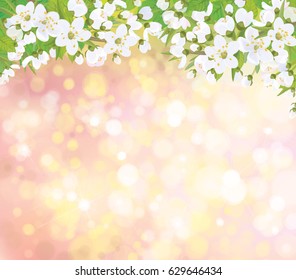 Vector spring background.