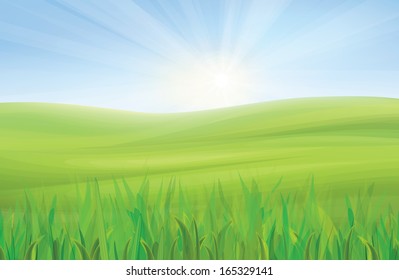 Vector spring background, blue sky and green grass.