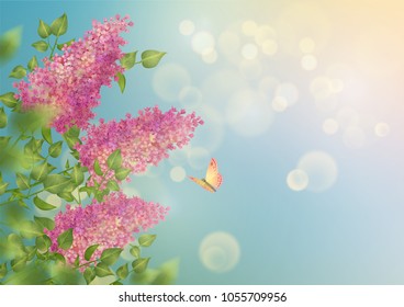Vector spring background. Branch of a blossoming Lilac