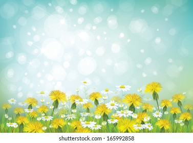 Vector spring background with chamomiles and dandelions.