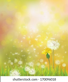 Vector spring background with dandelions. 