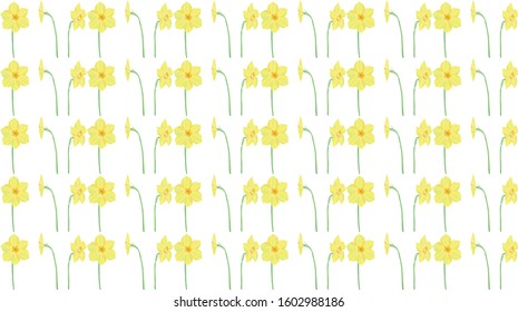 Vector spring background with flowers of jonquil isolated on transparent background