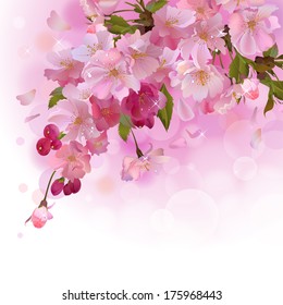 Vector spring background with gentle  branch of  beautiful flowers