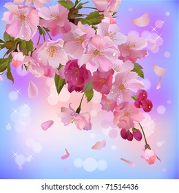 Vector spring background with gentle  branch of  beautiful flowers (see jpg version in my portfolio)