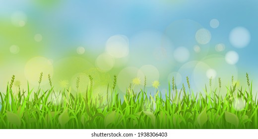 Vector spring background, grass and blurry sky. Bokeh effect.
