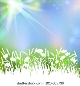 Vector spring background with grass, flowers and spikelets on the blue background