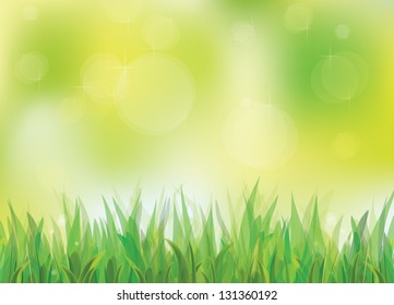 Vector of spring background with green grass.