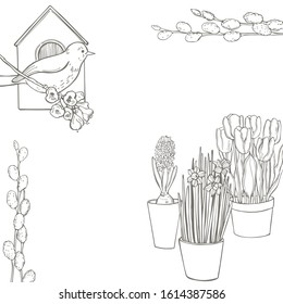  Vector spring  background with hand drawn flowers and bird.  sketch  illustration.
