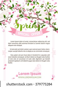 Vector spring background. Pink blossoms and bird contours on tree branches. Falling petals. Hand-written brush lettering. There is place for your text.