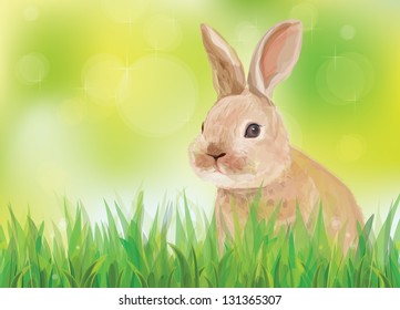 Vector of spring background  with rabbit in  green grass.