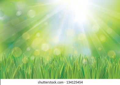 	Vector of spring background, sky and green grass.
