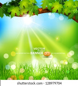 Vector spring background with trees and grass