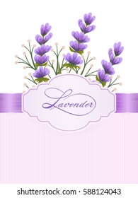 Vector spring background with volumetric lavandula flowers. Lavender flowers on background with elegant handwritten calligraphy. Great for wedding cards, invitations etc  