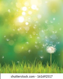 Vector of spring background with white dandelion. 