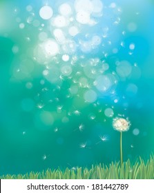 Vector of spring background with white dandelion.