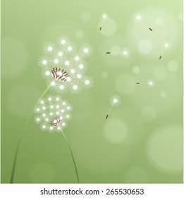 Vector of spring background with white dandelion.