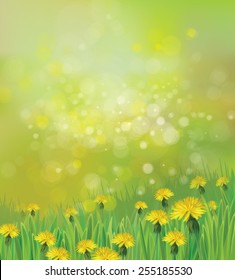 Vector of spring background with yellow dandelions.