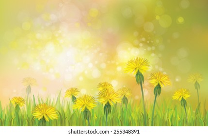 Vector of spring background with yellow dandelions.