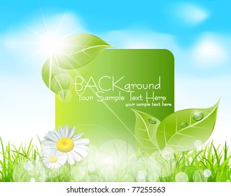 Vector spring banner with  leaves and grass against the blue sky