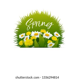 Vector spring banner with yellow dandelions and chamomiles flowers.