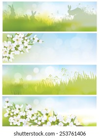 Vector spring banners, blossoming tree branch, nature backgrounds.