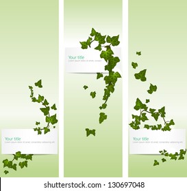 Vector Spring Banners With Ivy Leaves