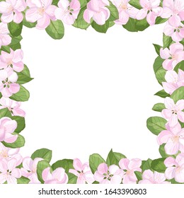 Vector spring beautiful frame with beautiful pink flowers of apple blossom, for decoration and design of greeting cards, covers, packaging, print on textiles