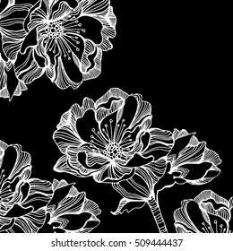 Vector of spring blooming flowers of apple tree.