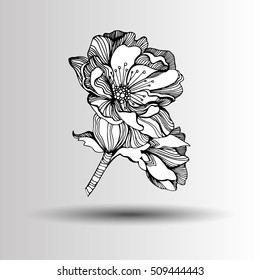 Vector of spring blooming flowers of apple tree.