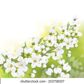 Vector spring blossoming tree  background.