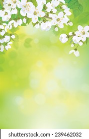 Vector spring blossoming tree on bokeh background.