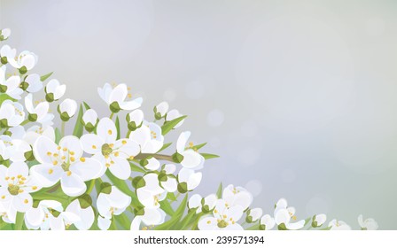 Vector spring blossoming tree on bokeh background.