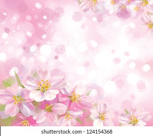 Vector of spring blossoming tree with pink background