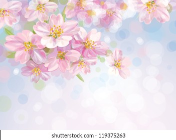Vector of spring blossoming  tree with sky background