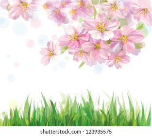 Vector de la primavera floreciente árbol y hierba verde.