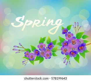 Vector .  Spring , bouquet of flowers .