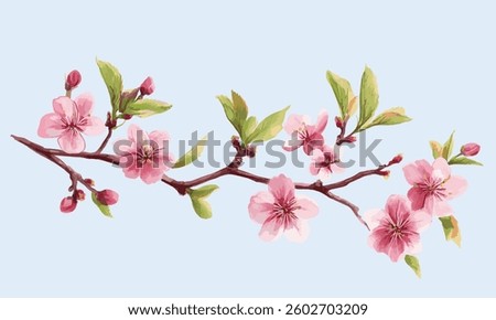 Vector spring bud, pink cherry blossom flower branch. Flat Vector watercolor illustration
