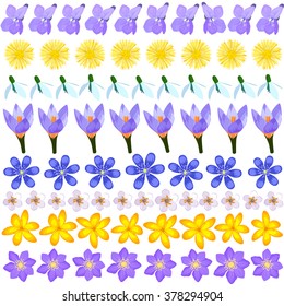 Vector spring card with flowers