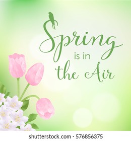 Vector spring card with stylized text, pattern can be used for wallpaper. Vintage illustration with green background and birds