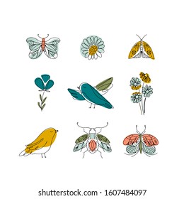 Vector Spring cards with flowers, insects, bird and butterfly. Line art, spring design