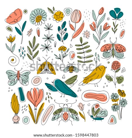 Vector Spring collection with birds, flowers and butterflies isolated on white background. Line Art and abstract illustration