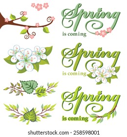 Vector Spring composition.Green Leaves, branches wreath,word.Seasonal background, design template. Description Spring.Use for design template,invitations,web page .Flat Vector