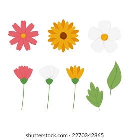 vector spring elements collection flowers and leaf