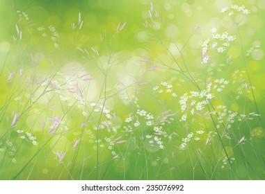 Vector spring floral  background.