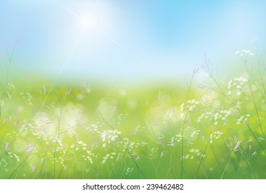 Vector spring floral  background.