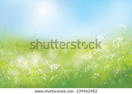 Similar – Goldener Frühling Umwelt