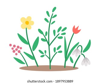 Vector Spring Flower Bed Icon. First Blooming Plants Illustration. Floral Clip Art. Cute Flat Nursery Bed With Snowdrop And Tulip Isolated On White Background.
